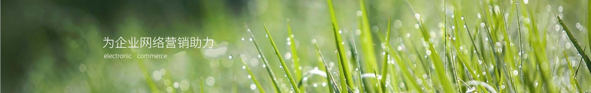 ֣ݶջƼ޹˾